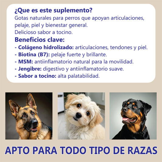 Suplemento Colágeno Perros