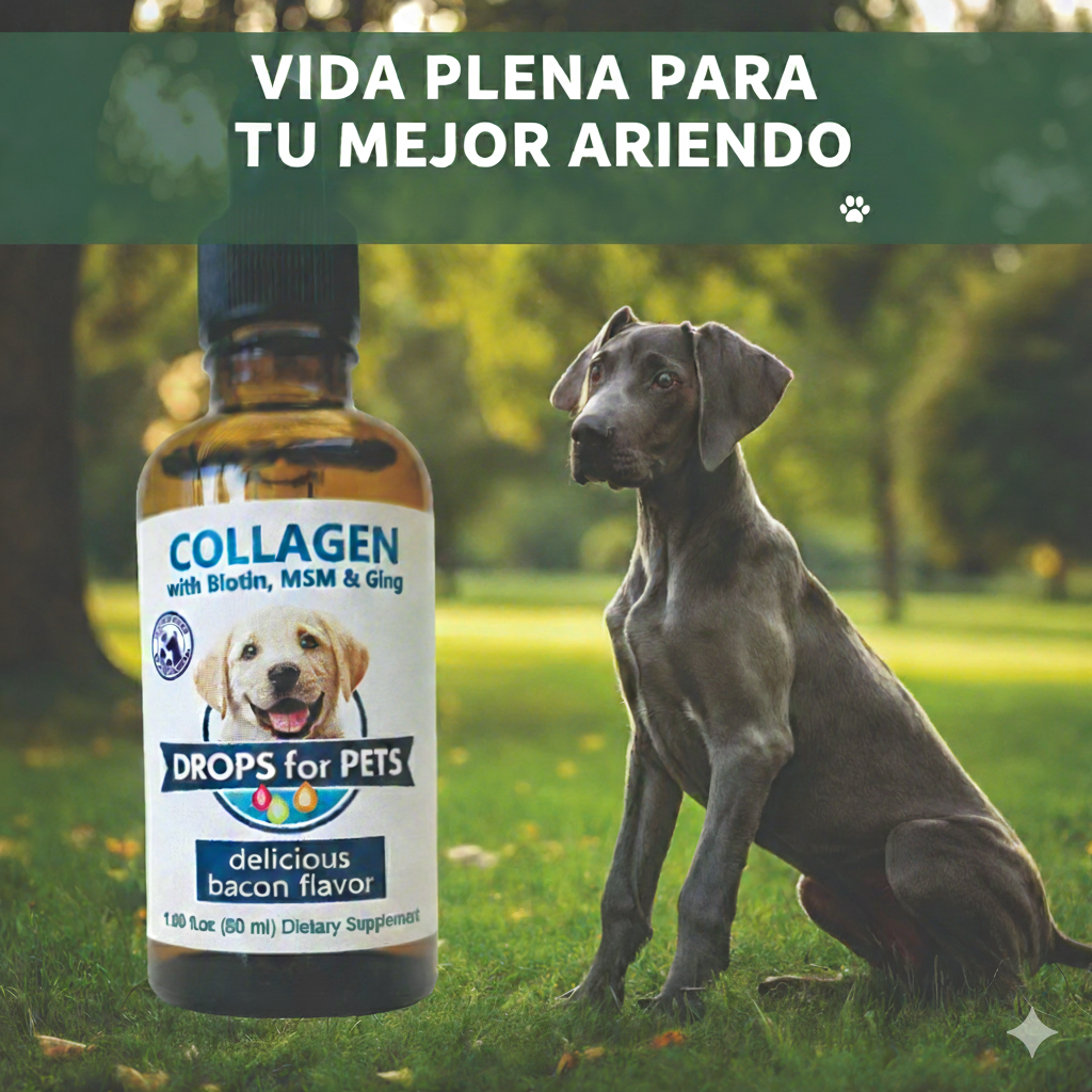 Sumplemento para Caninos